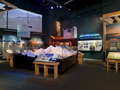 American Mountaineering Museum